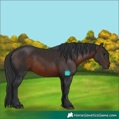 Horse Color:Brown 