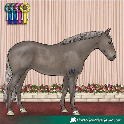 Horse Color:Silver Black 