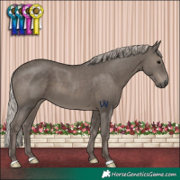 Horse Color:Silver Black