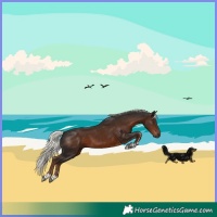 Horse Color:Liver Chestnut Mushroom 