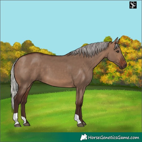 Horse Color:Silver Brown Dun