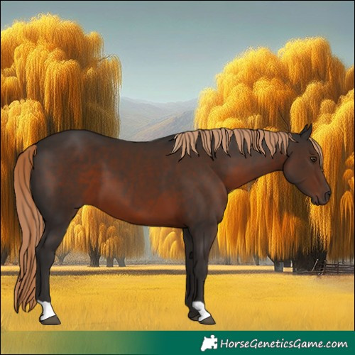 Horse Color:Liver Chestnut 