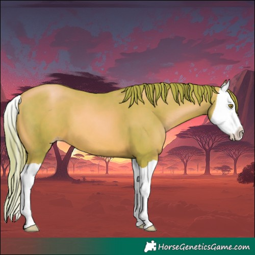 Horse Color:Watercolor Gold Champagne Splash