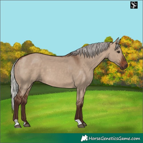Horse Color:Silver Brown Dun