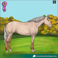Horse Color:Silver Sable Champagne Dun