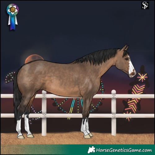 Horse Color:Brown Dun 
