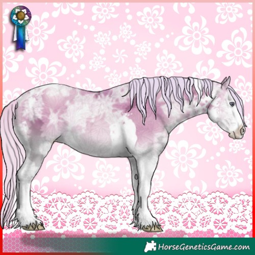 Horse Color:Silver Smoky Blue Onyx Chinchilla Ice Snowdrop Sabino Tobiano Rabicano 