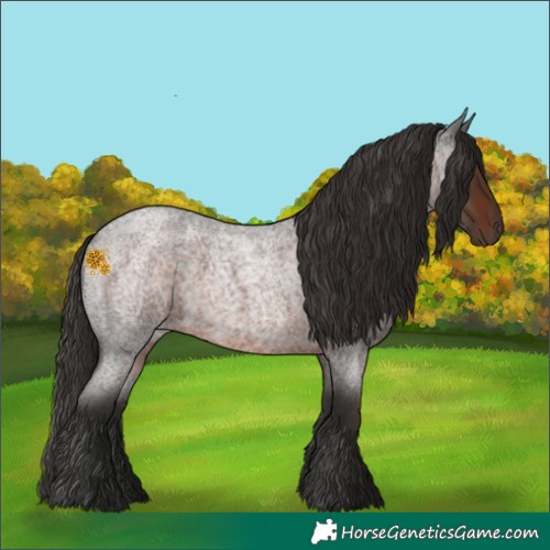 Horse Color:Liver Red Roan 
