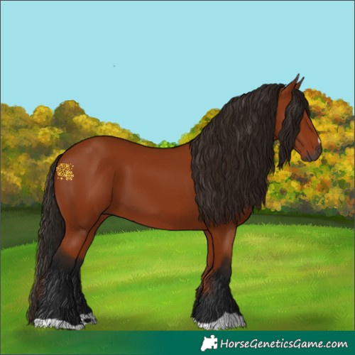 Horse Color:Gray Bay 