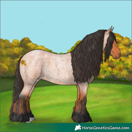 Horse Color:Bay Roan 