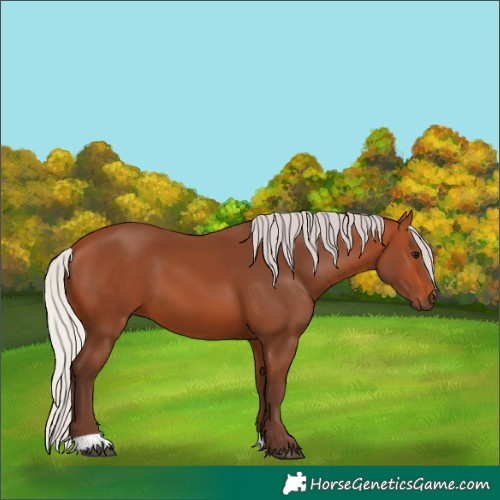 Horse Color:Silver Bay