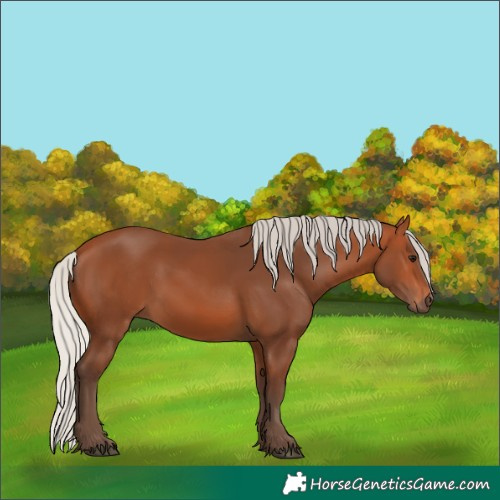 Horse Color:Silver Bay