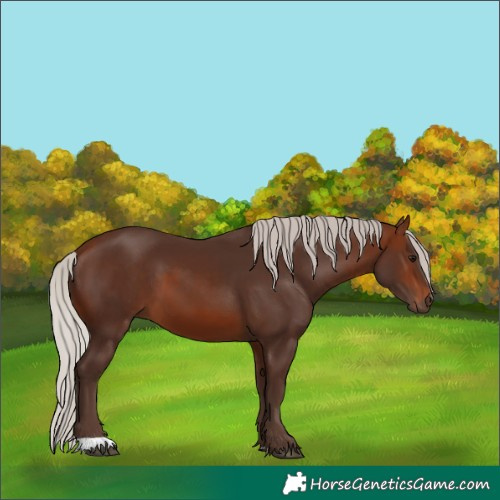 Horse Color:Silver Brown