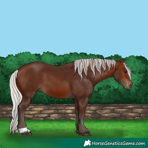 Horse Color:Silver Brown