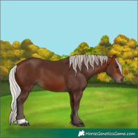 Horse Color:Silver Brown 