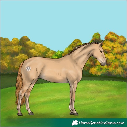 Horse Color:Red Dun 