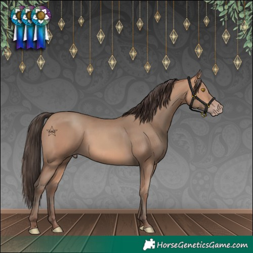 Horse Color:Amber Champagne