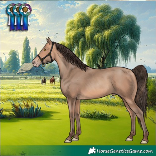 Horse Color:Amber Champagne 