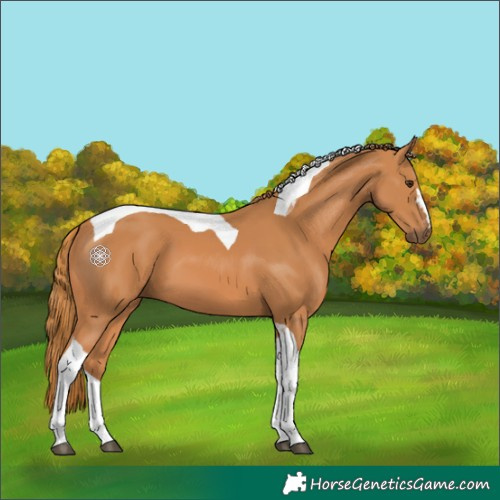 Horse Color:Chestnut Tobiano 