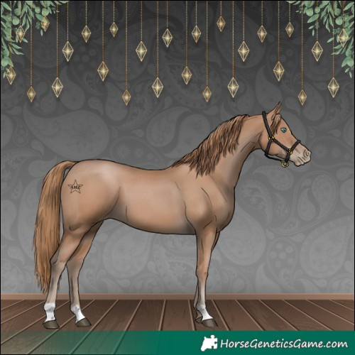 Horse Color:Black Pearl 
