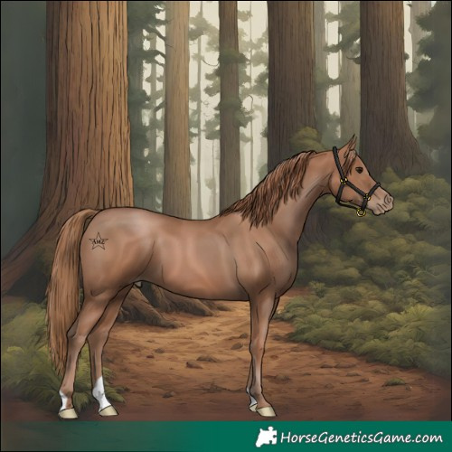 Horse Color:Black Pearl 
