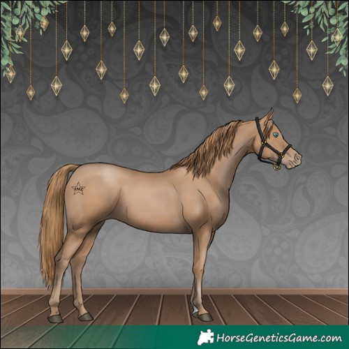 Horse Color:Black Pearl 