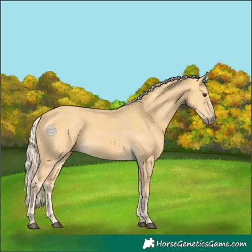Horse Color:Palomino 