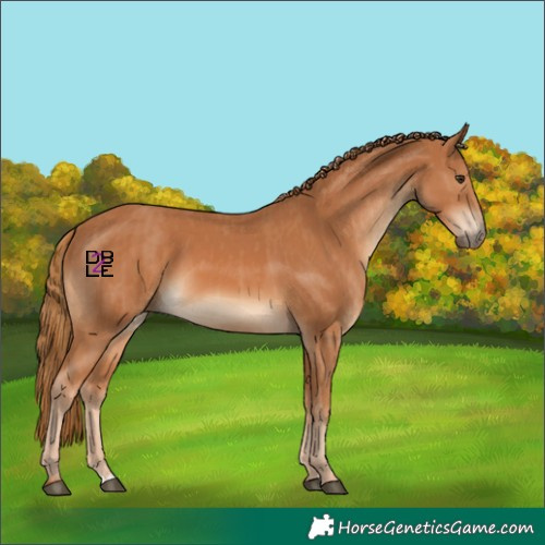 Horse Color:Chestnut  and Chestnut 