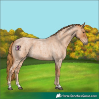 Horse Color:Red Roan