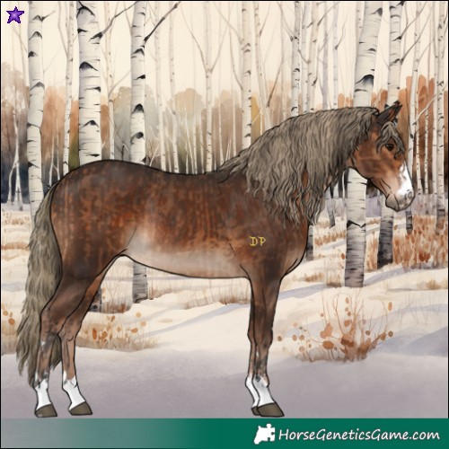 Horse Color:Bay and Liver Chestnut Rabicano