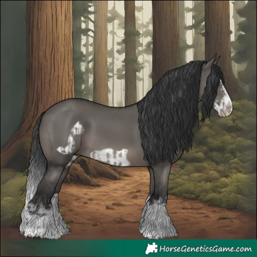 Horse Color:Grullo Splash  and Grullo Splash Frame 