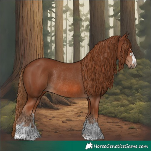 Horse Color:Chestnut Rabicano