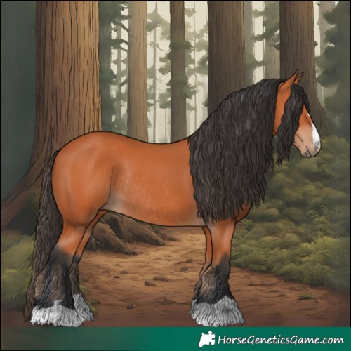 Horse Color:Bay Rabicano 