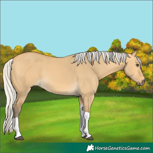 Horse Color:Silver Buckskin Dun Tobiano 