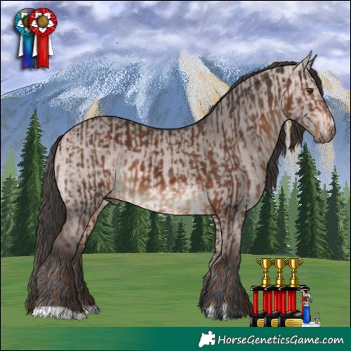 Horse Color:Liver Chestnut and Platinum Bay Dun