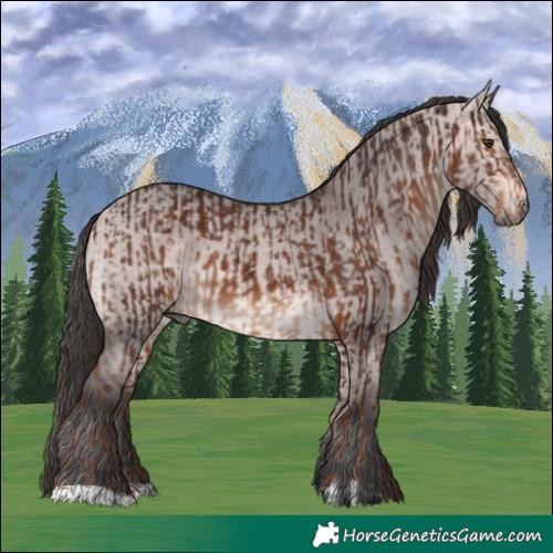 Horse Color:Liver Chestnut  and Platinum Bay Dun 