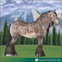 Horse Color:Liver Chestnut  and Platinum Bay Dun 