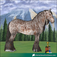 Horse Color:Liver Chestnut and Platinum Bay Dun