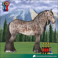 Horse Color:Liver Chestnut and Platinum Bay Dun