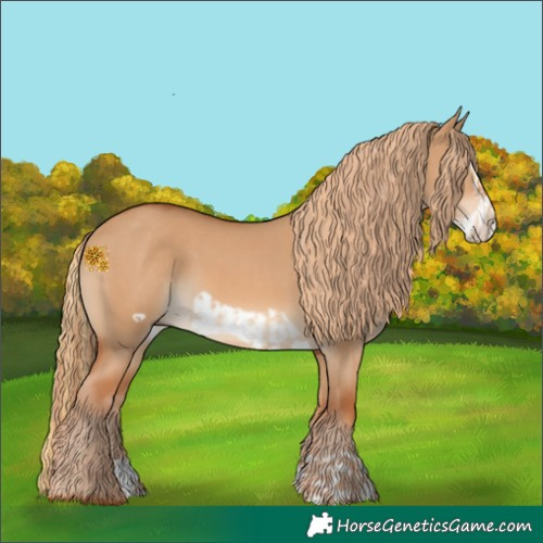 Horse Color:Red Dun and Red Dun Frame