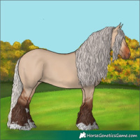 Horse Color:Silver Bay Dun