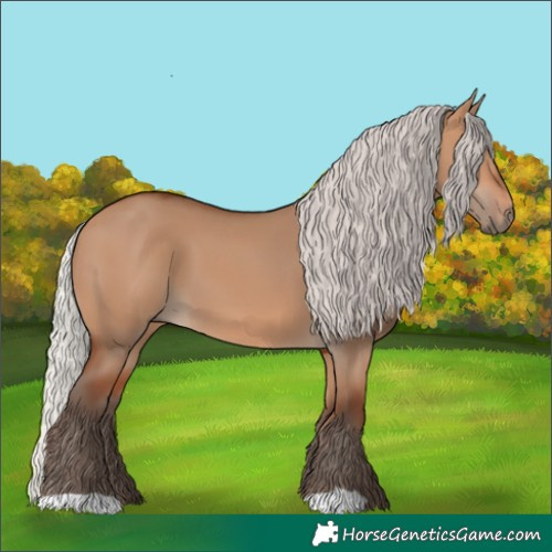 Horse Color:Silver Bay Dun