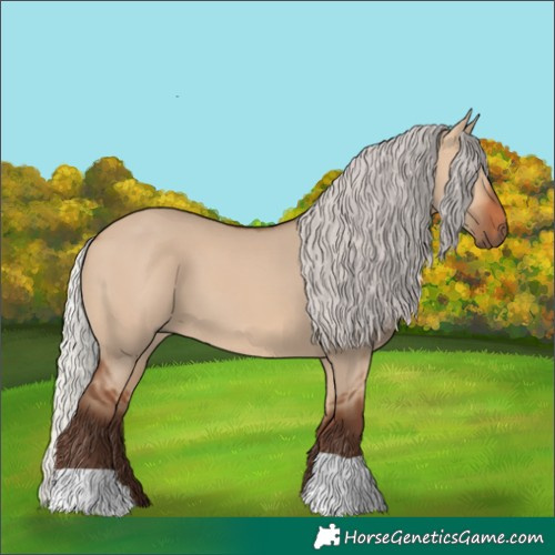 Horse Color:Silver Bay Dun