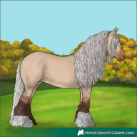 Horse Color:Silver Bay Dun