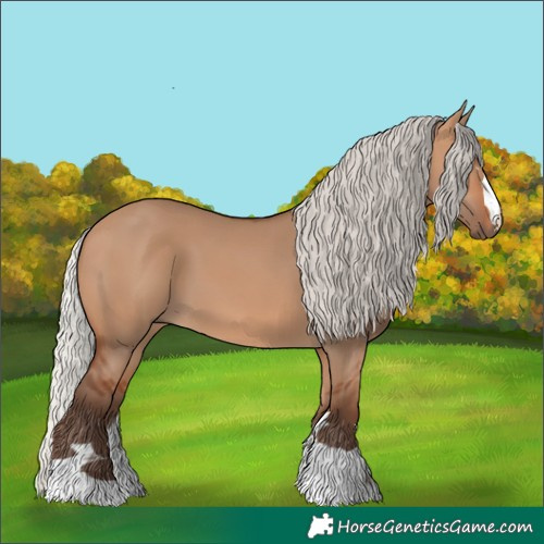 Horse Color:Silver Bay Dun