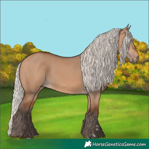 Horse Color:Silver Bay Dun
