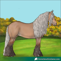 Horse Color:Silver Bay Dun