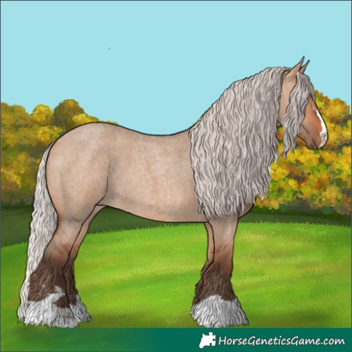 Horse Color:Silver Bay Roan Dun