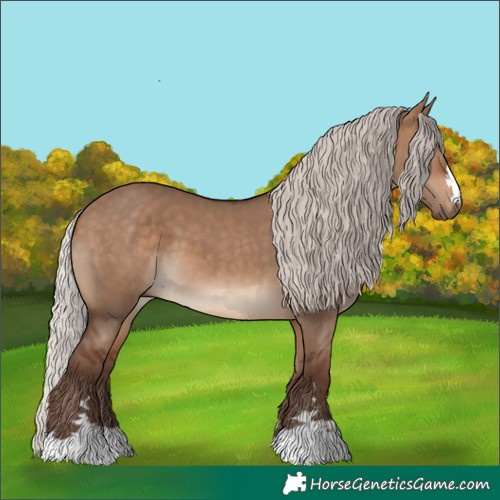 Horse Color:Silver Bay Dun 