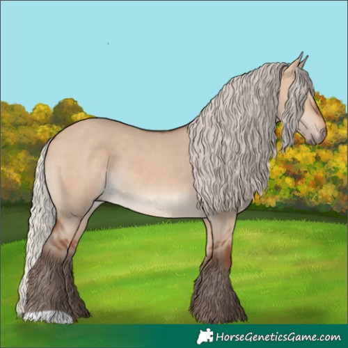 Horse Color:Silver Bay Dun